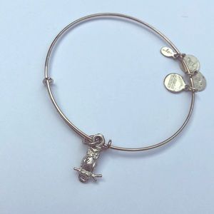 Owl Alex and Ani bracelet